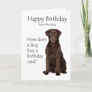 Carte d'anniversaire pour Labrador chocolat