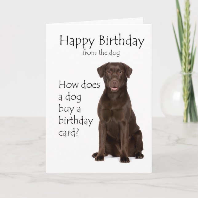 Carte d'anniversaire pour Labrador chocolat (Devant)
