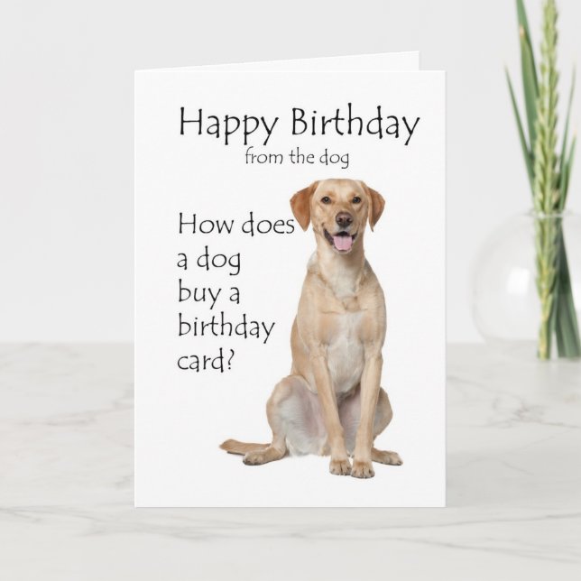 Carte d'anniversaire pour Labrador Retriever Jaune (Devant)