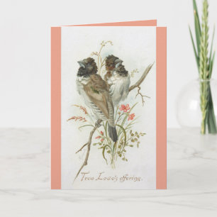 Carte d'anniversaire pour les amoureux des oiseaux