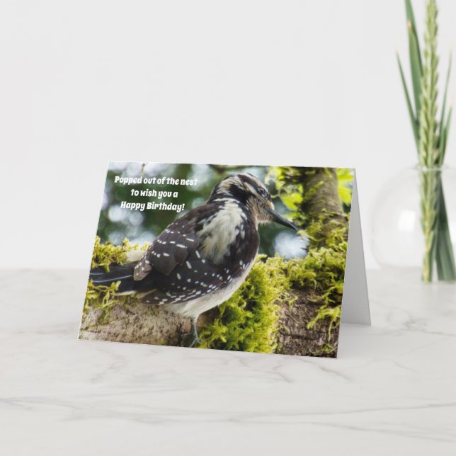 Carte d'anniversaire pour les amoureux des oiseaux (Devant)