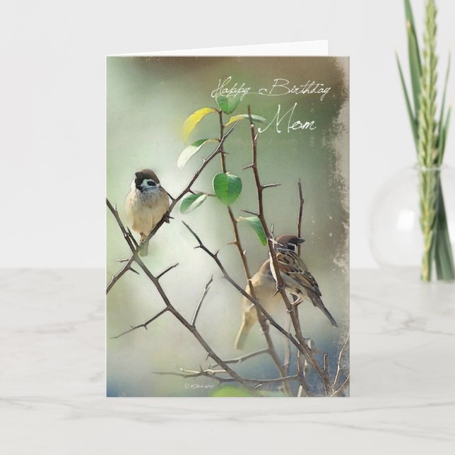 Carte d'anniversaire pour les oiseaux de trois cha (Devant)
