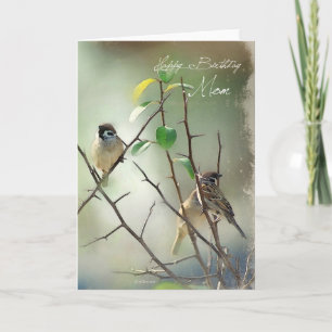 Carte d'anniversaire pour les oiseaux de trois cha