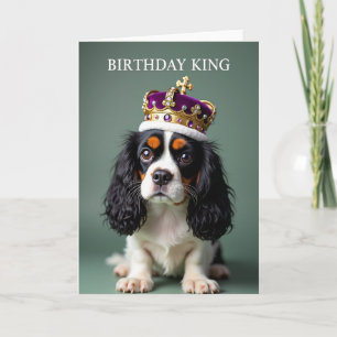 Carte d'anniversaire pour roi chien