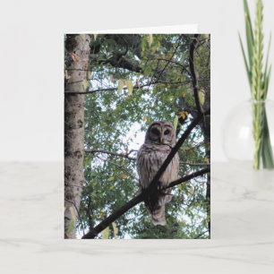 Carte d'anniversaire pour un oiseau dur à cuire