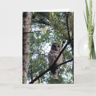 Carte d'anniversaire pour un oiseau dur à cuire