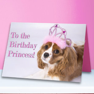 Carte d'anniversaire Princesse Cavalier King Charl