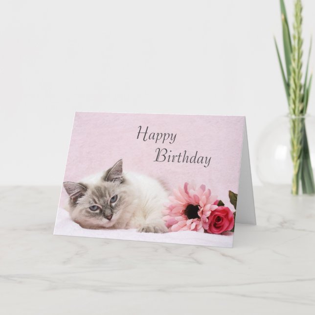 Carte d'anniversaire Ragdoll (Devant)