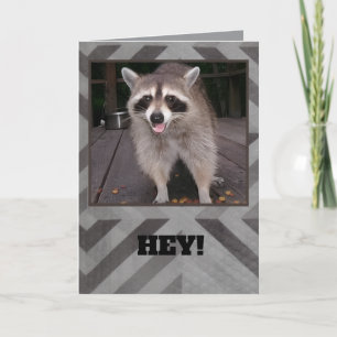 Carte d'anniversaire raton laveur pour adultes ou