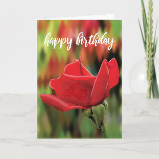 Carte d'anniversaire réaliste Red Rose Bud