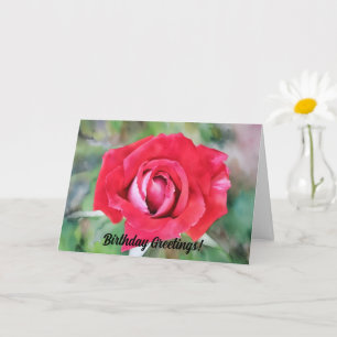 Carte d'anniversaire Red and Rose Art
