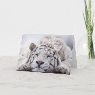CARTE D'ANNIVERSAIRE RELAXANTE TIGRE BLANC