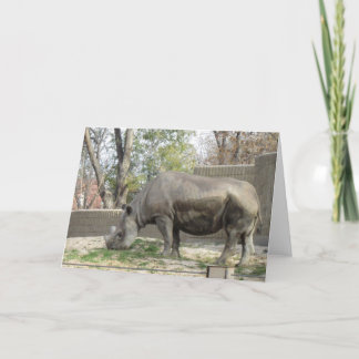 Carte d'anniversaire Rhino