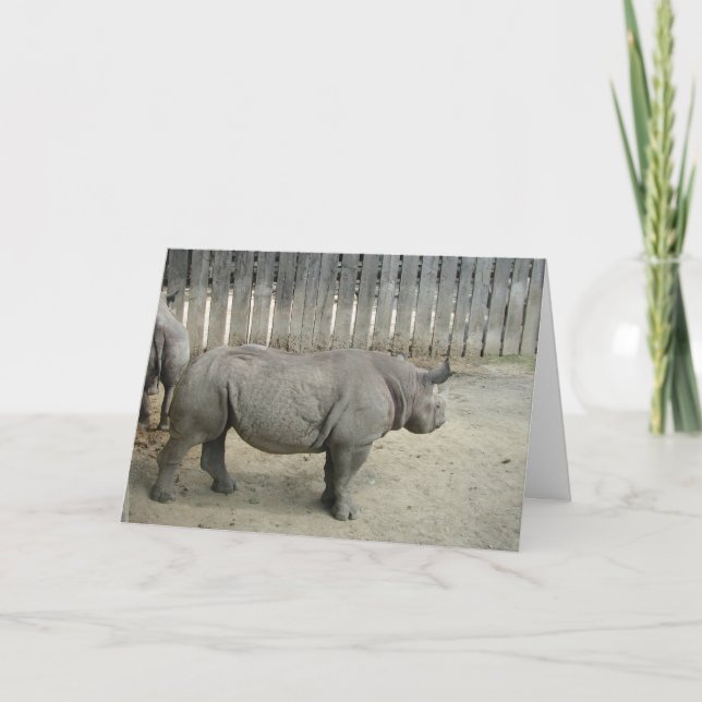 Carte d'anniversaire Rhino ! (Devant)