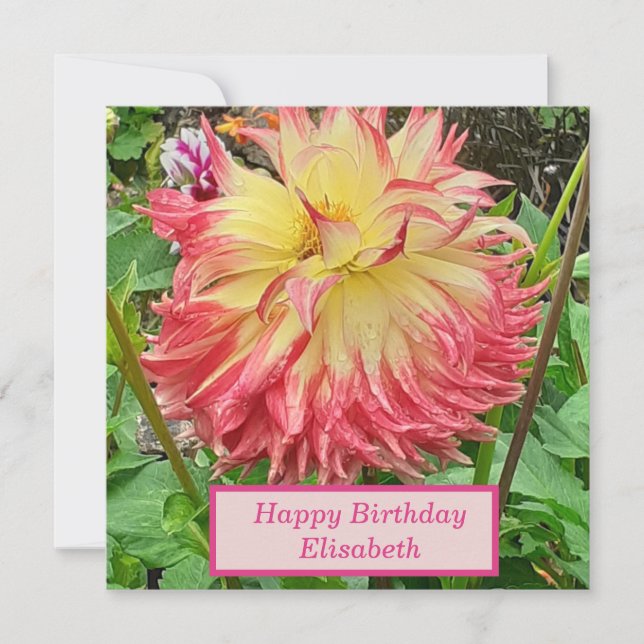 Carte d'anniversaire rose et jaune Dahlia (Devant)