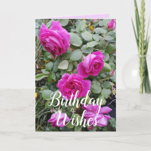 Carte d'anniversaire rose Vintage Rose Fleur Flora