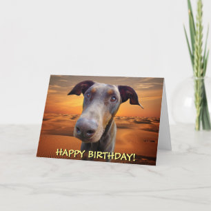 Carte d'anniversaire rouge belle de dobermann