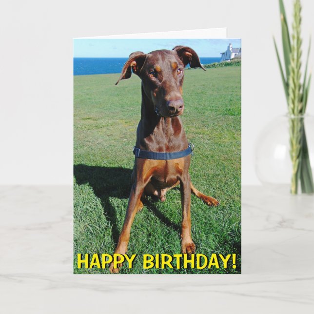 Carte d'anniversaire rouge mignonne de dobermann (Devant)