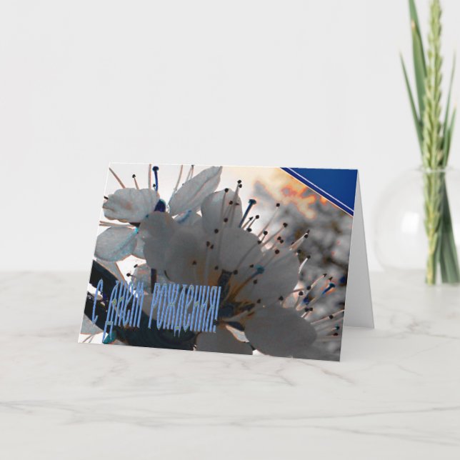 Carte d'anniversaire russe avec Fleurs cerises (Devant)