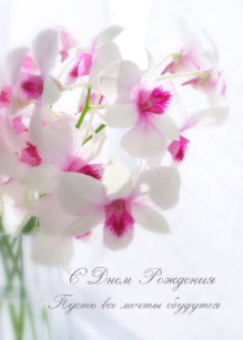 Cartes Orchidee D Anniversaire Zazzle Fr