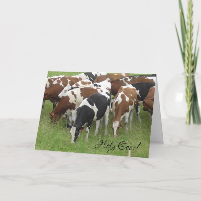 Carte d'anniversaire Sainte Vache (Devant)
