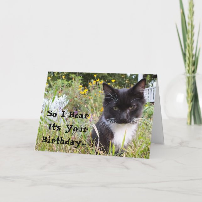 Carte d'anniversaire Sarcastique Tuxedo Kitten (Devant)