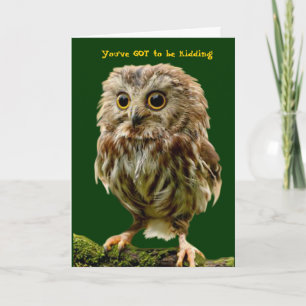 Carte d'anniversaire Scruffy Owl