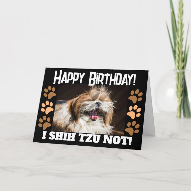 Carte d'anniversaire Shih tzu pas drôle  (Devant)