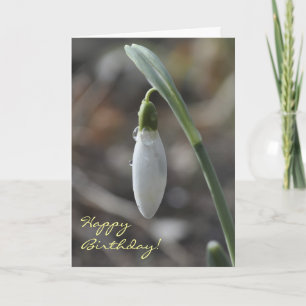 Carte d'anniversaire Snowdrop