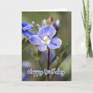 Carte d'anniversaire - speedwell de maïs -