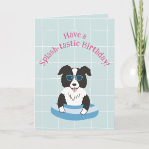 Carte d'anniversaire Splash-tastic Border Collie