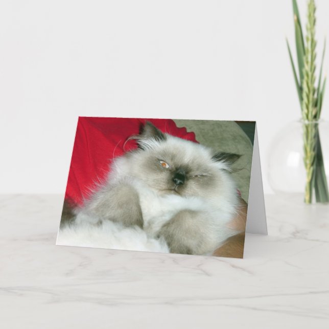 Carte d'anniversaire Squinty Himmy (Devant)