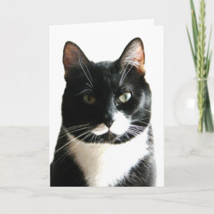 Carte d'anniversaire Stare Down
