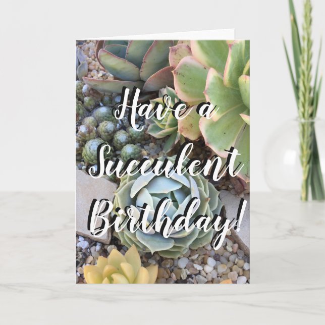 Carte d'anniversaire Succulente (Devant)