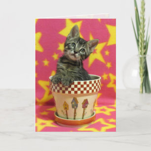 Carte d'anniversaire Tabby en croissance