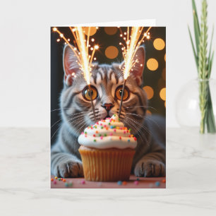 Carte d'anniversaire Tabby Sparkler