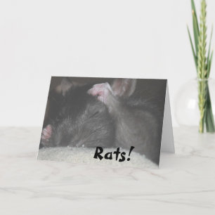 Carte d'anniversaire tardive