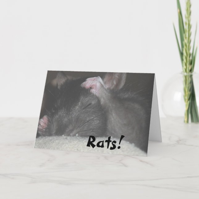 Carte d'anniversaire tardive (Devant)