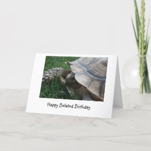 Carte d'anniversaire tardive Tortoise
