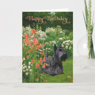 Carte d'anniversaire Terrier Écossais