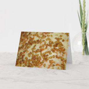 Carte d'anniversaire "Thai Chicken Pizza"