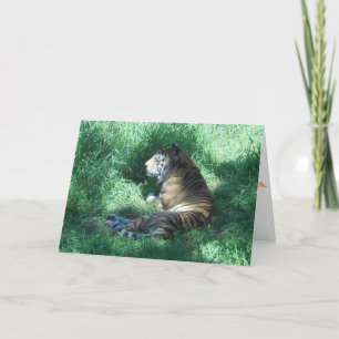 Carte d'anniversaire "Tigre d'Amour"