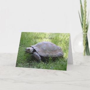 Carte d'anniversaire Tortoise