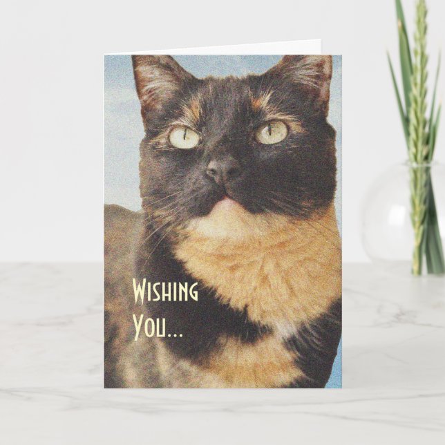 Carte d'anniversaire Tortoise Shell Cat (Devant)