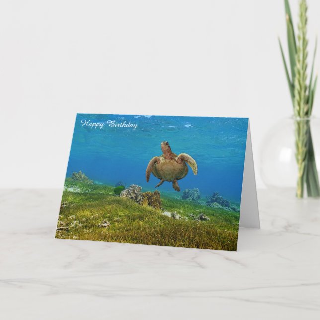 Carte d'anniversaire Tortue de mer (Devant)