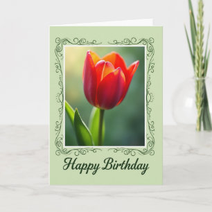 Carte d'anniversaire Tulipe Cramoisie