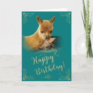 Carte d'anniversaire Turquoise de foin d'or Alpaca