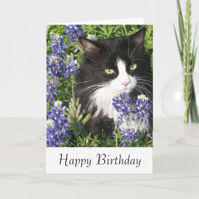 Carte d'anniversaire Tuxedo Cat au Texas Bluebonne (Devant)
