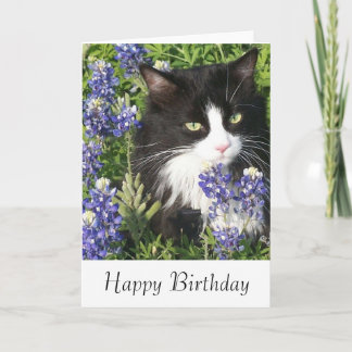 Carte d'anniversaire Tuxedo Cat au Texas Bluebonne