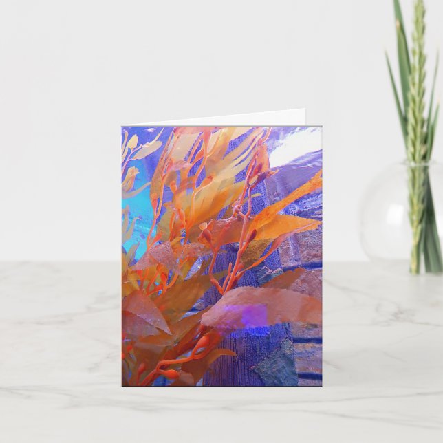 Carte d'anniversaire - varech marin (Devant)